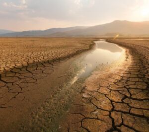 Klimawandel Folgen Dürre und Trockenheit