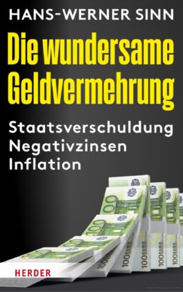 Buchkritik und Zusammenfassung: Die wundersame Geldvermehrung, Hans Werner Sinn