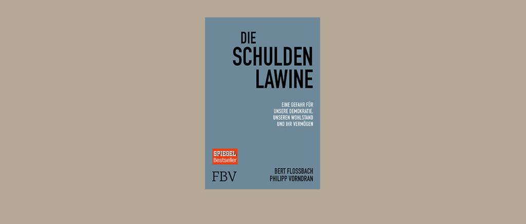 FINA Buchkritik Die Schulden Lawine