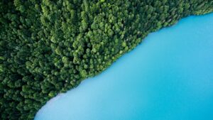 FINA Impact Investing in Presse