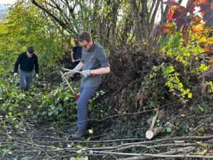 Heckenpflege für die Biodiversität