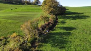 Biodiversität FINA karitativer Tag Gantrisch